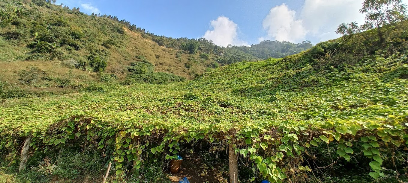 Northeast Vietnam Bicycle Tour Ha Giang, Ba Be 7 Days